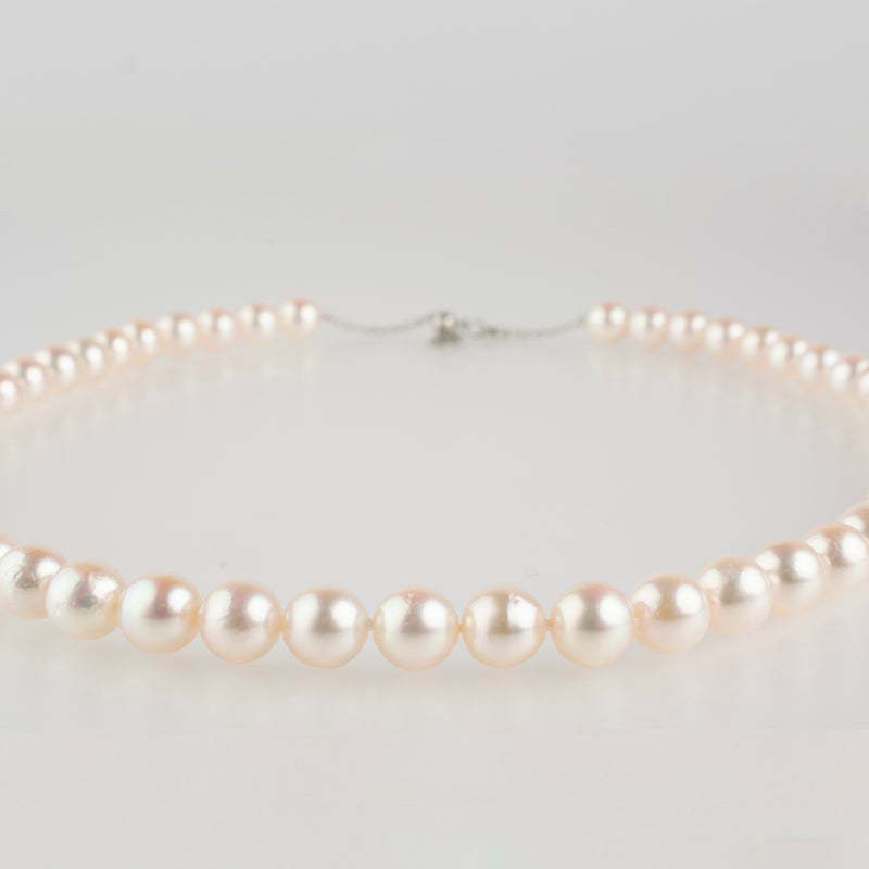 akoya pearl necklace