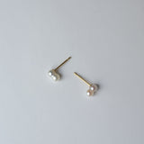 baby akoya pearl earrings twin