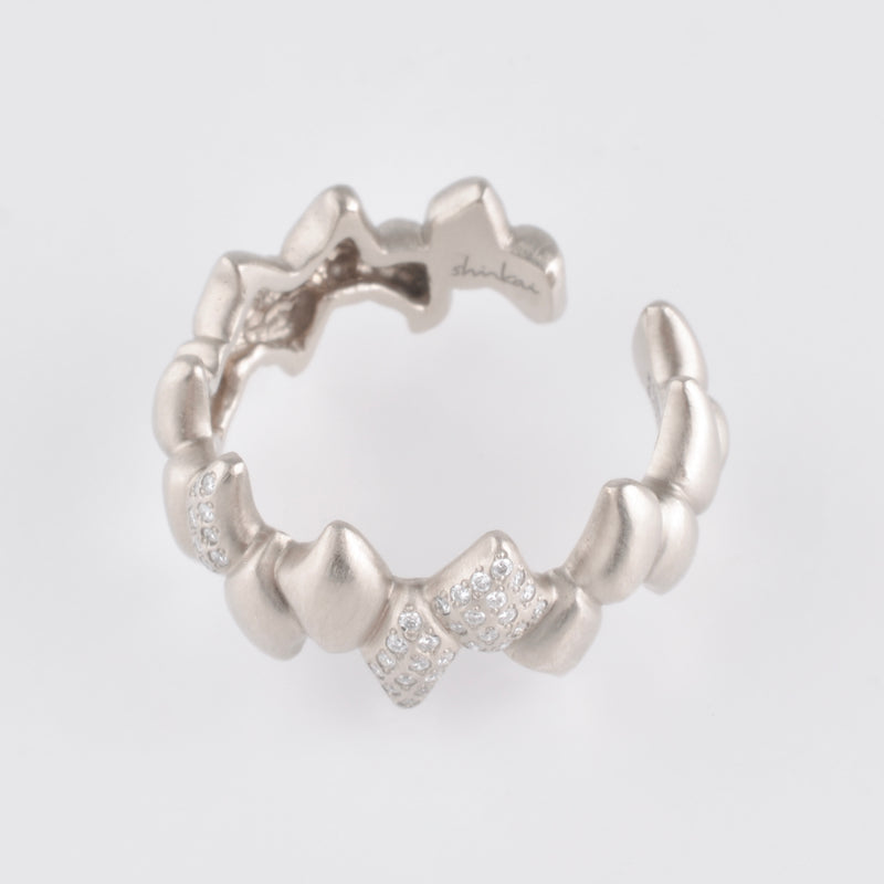 phantom diamond silver ring