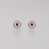 limited collection - lucia stud earrings