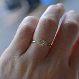 enfold diamond ring　R2512-S1326324